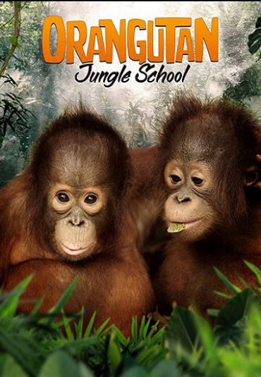 (مینی سریال مدرسه جنگلی اورانگوتان ها) Orangutan Jungle School